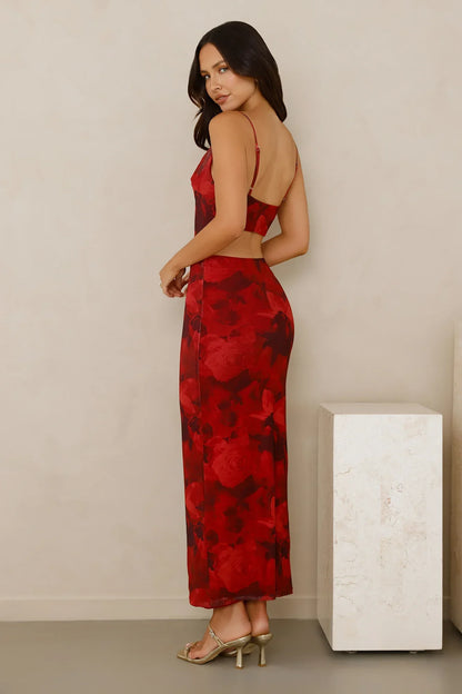 Pretty On Purpose Mesh Maxi Dress Red