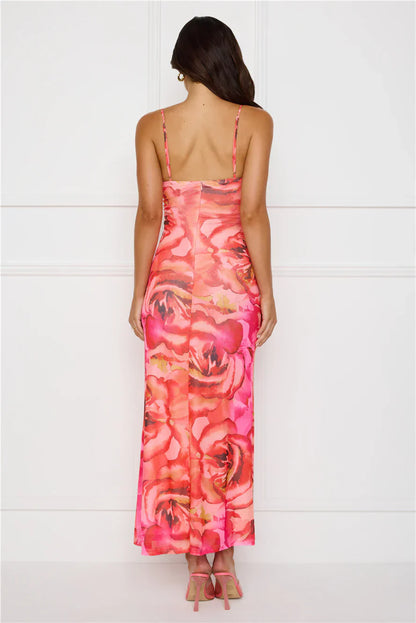 Seleneia Mesh Maxi Dress Pink